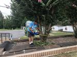 yardwork