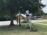 summer work