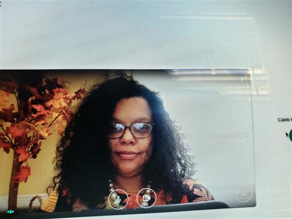 Teaching Virtually